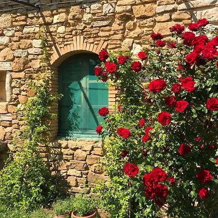 Hébergement de vacances Amoureux De La Nature Saint-Andre-d'Olerargues